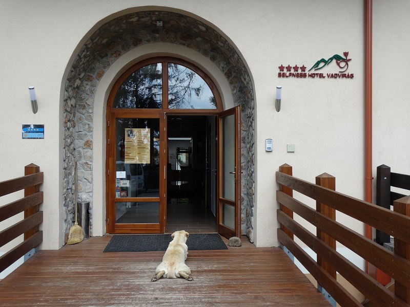 kutyabarat hotel vadvirag