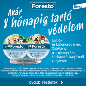 Oldalsáv 300×250 banner