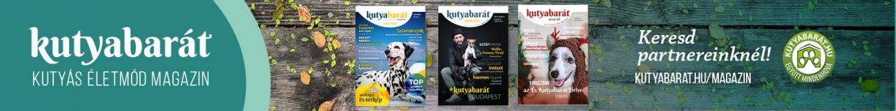 KB magazin 728×90