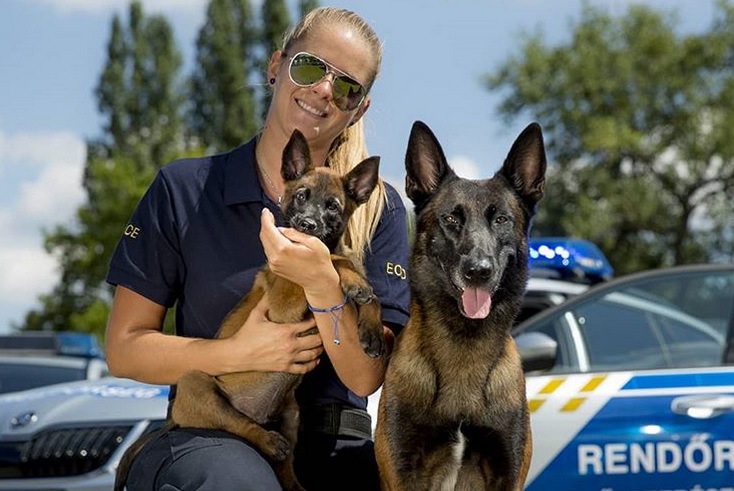 police.hu kutyabarát