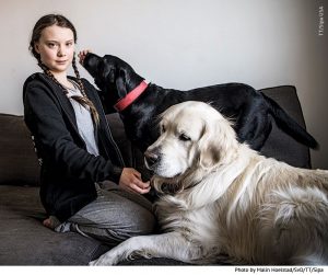 Greta Thunberg - egy fiatal lány, aki megváltoztatja a világot