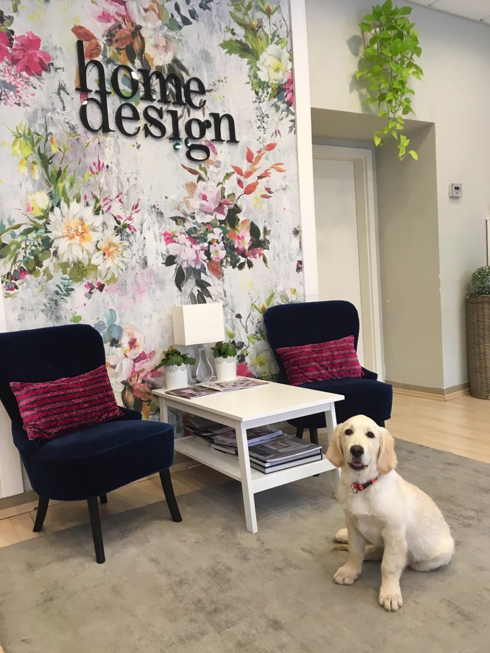 Home Design