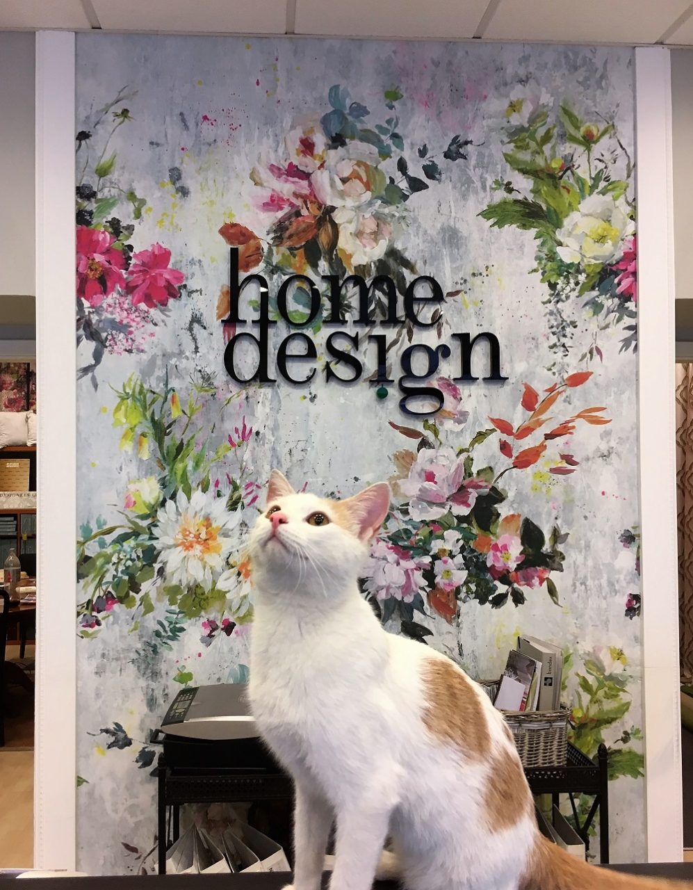 Home Design