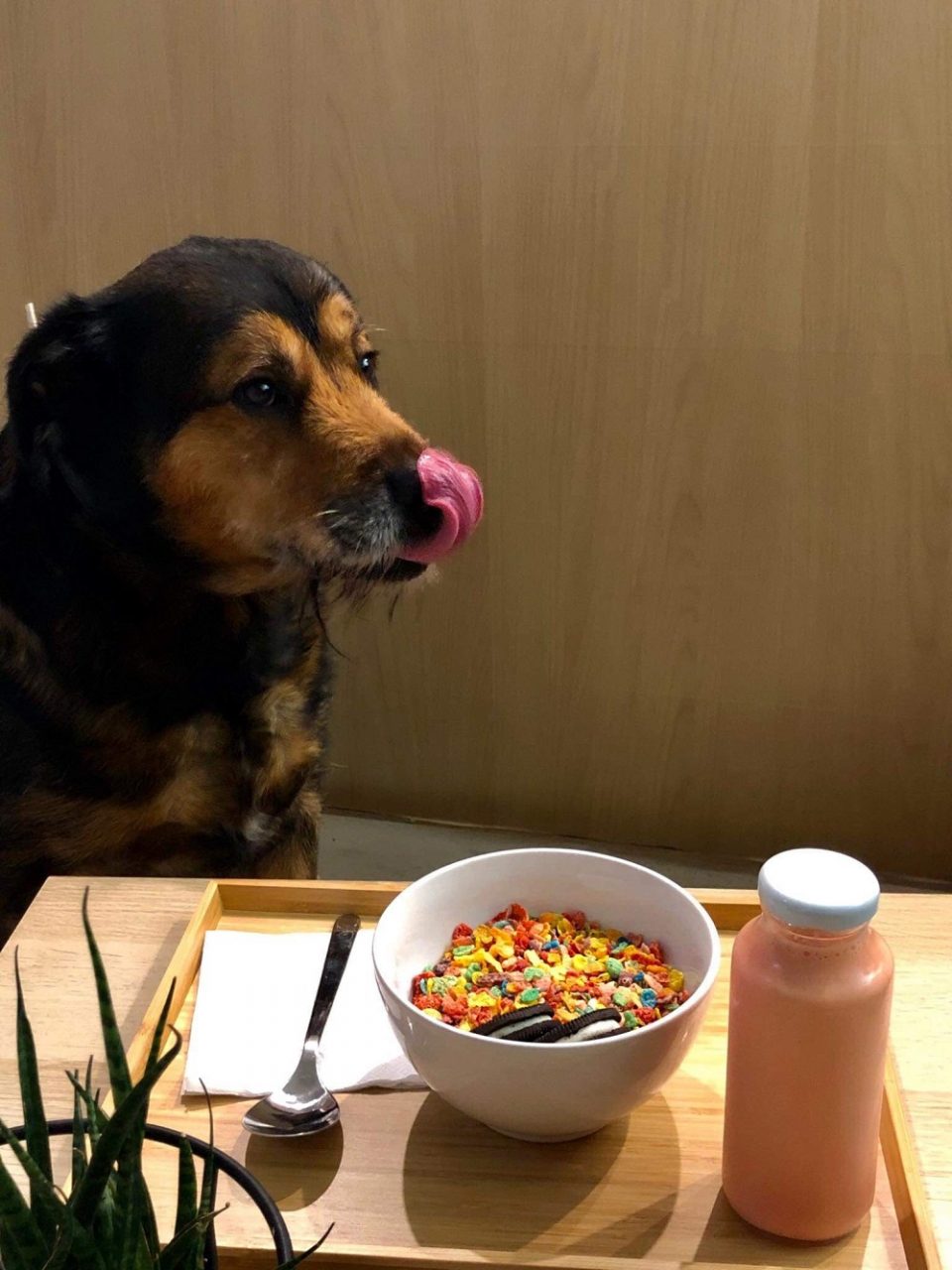 cereal beast