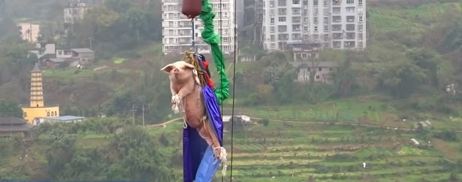 malac bungee jumping