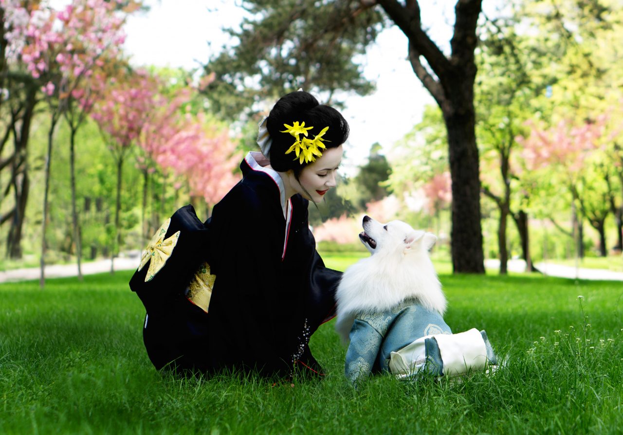 japán kimonós nő és kutya