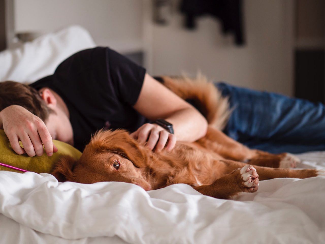 kutyával aludni egészséges