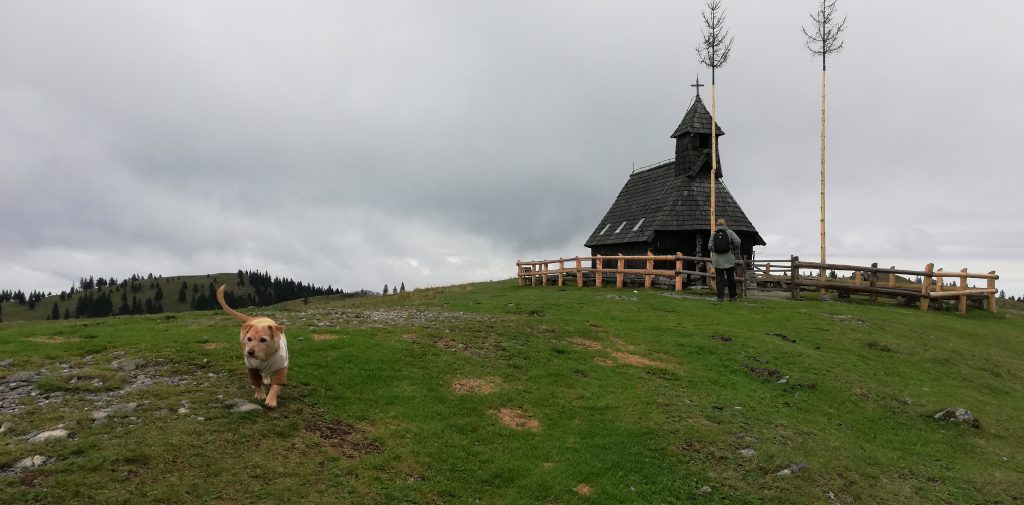 velika planina1