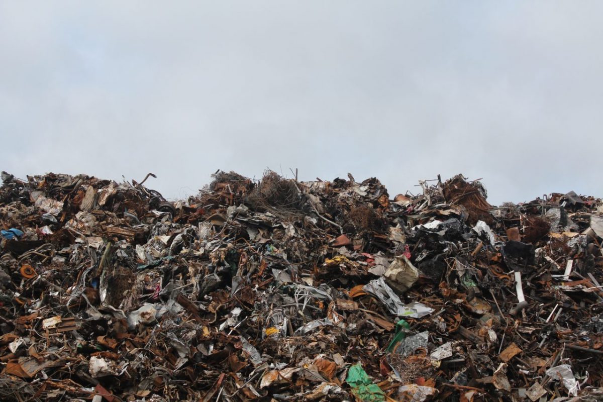 hortobágyi nemzeti park zero waste