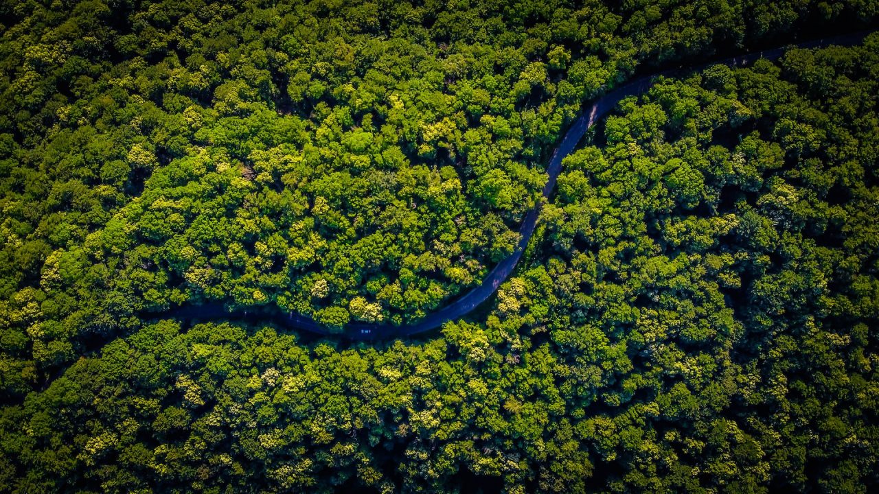 Az amazóniai erdőirtás kritikus méreteket öltött szeptemberben