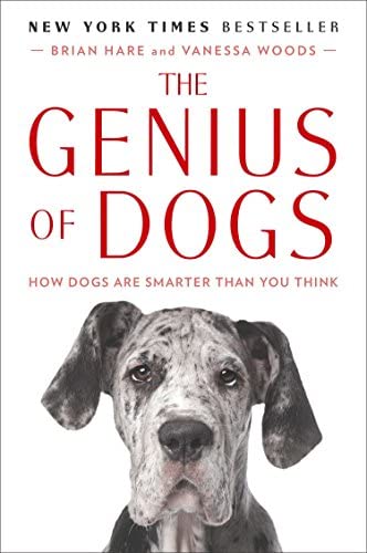 az okos kutya
