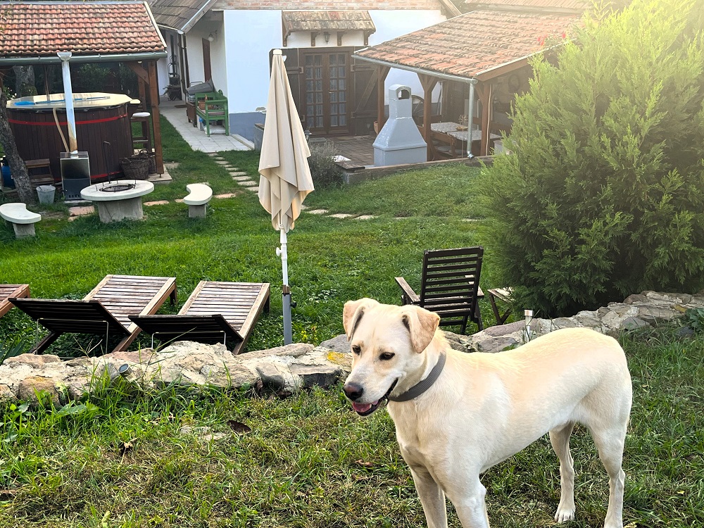 Padláskincsek