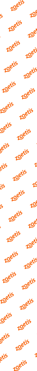 Zoetis bal