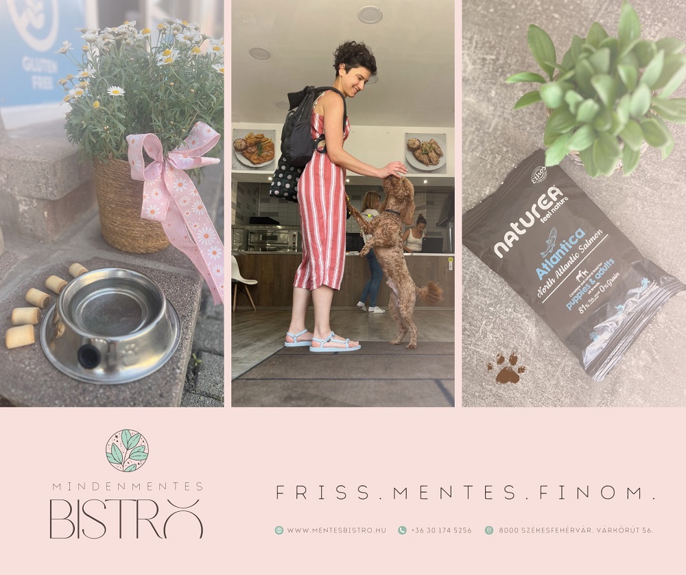Mindenmentes Bistro